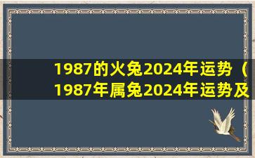 1987的火兔2024年运势（1987年属兔2024年运势及运程 🕷 每月运程）